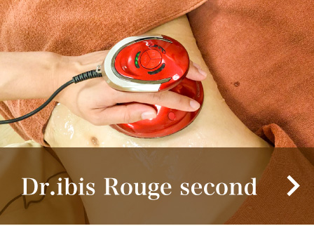 Dr. ibis second rouge